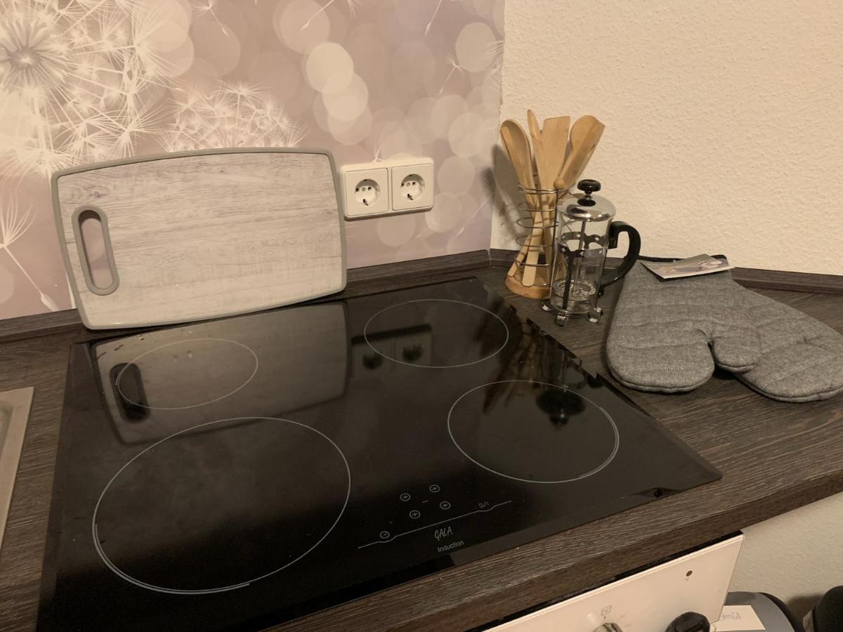 Ferienwohnung Oelzschau - Urlaub Im Leipziger Neuseenland Rotha ภายนอก รูปภาพ